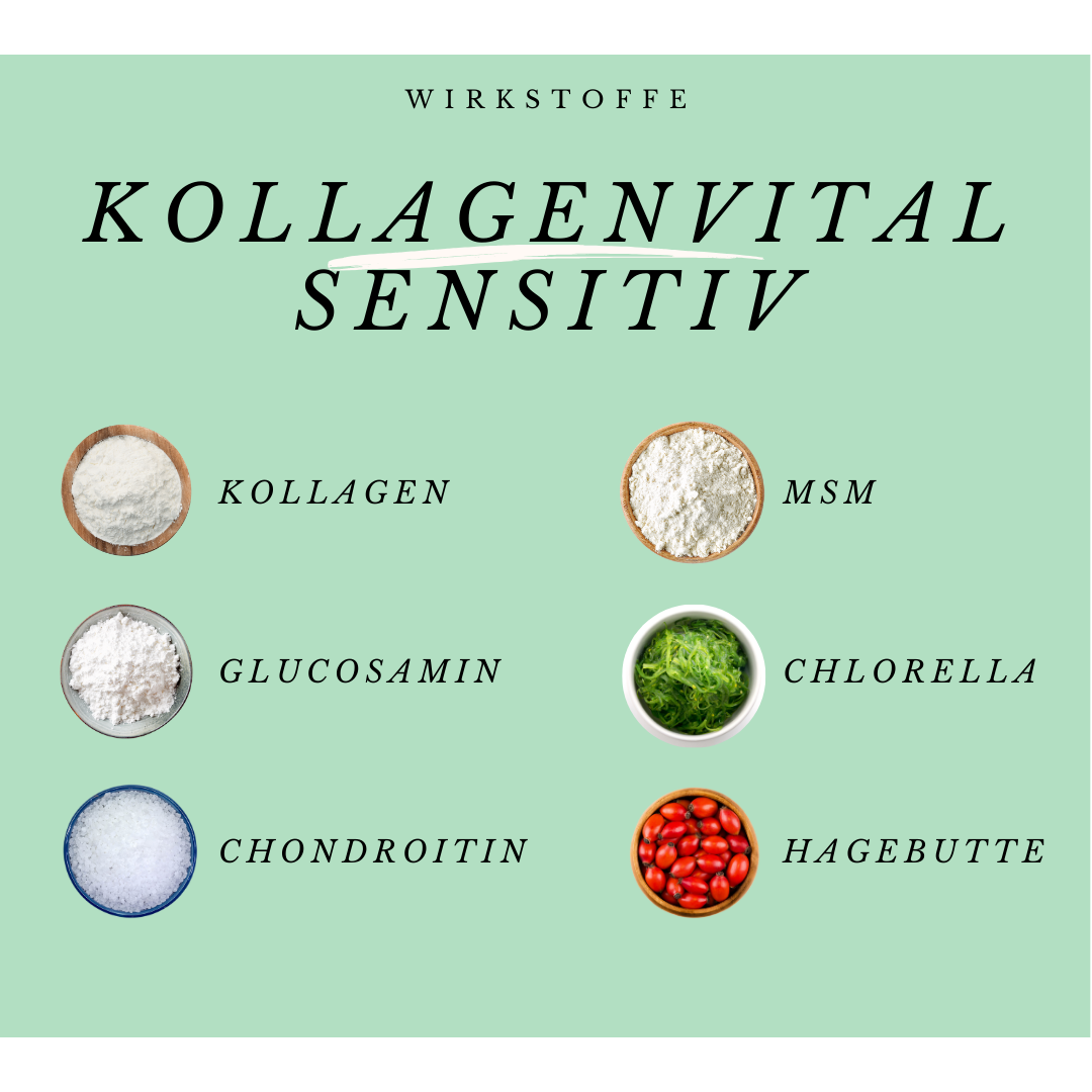 KollagenVital Sensitiv