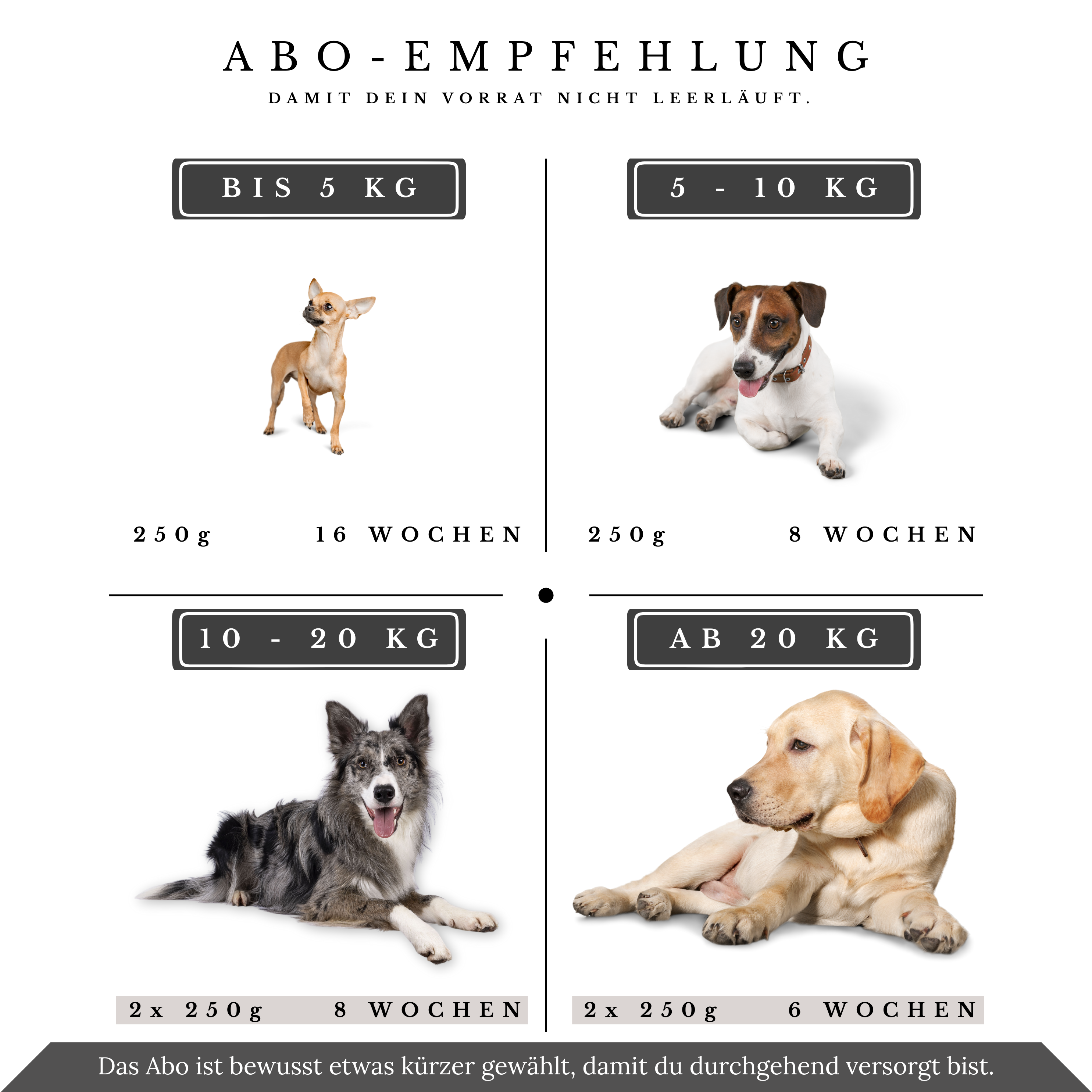Vitalsteps KollagenVital Sensitiv Abo-Empfehlung mit Dosengrößen und Intervallen nach Hundegewicht