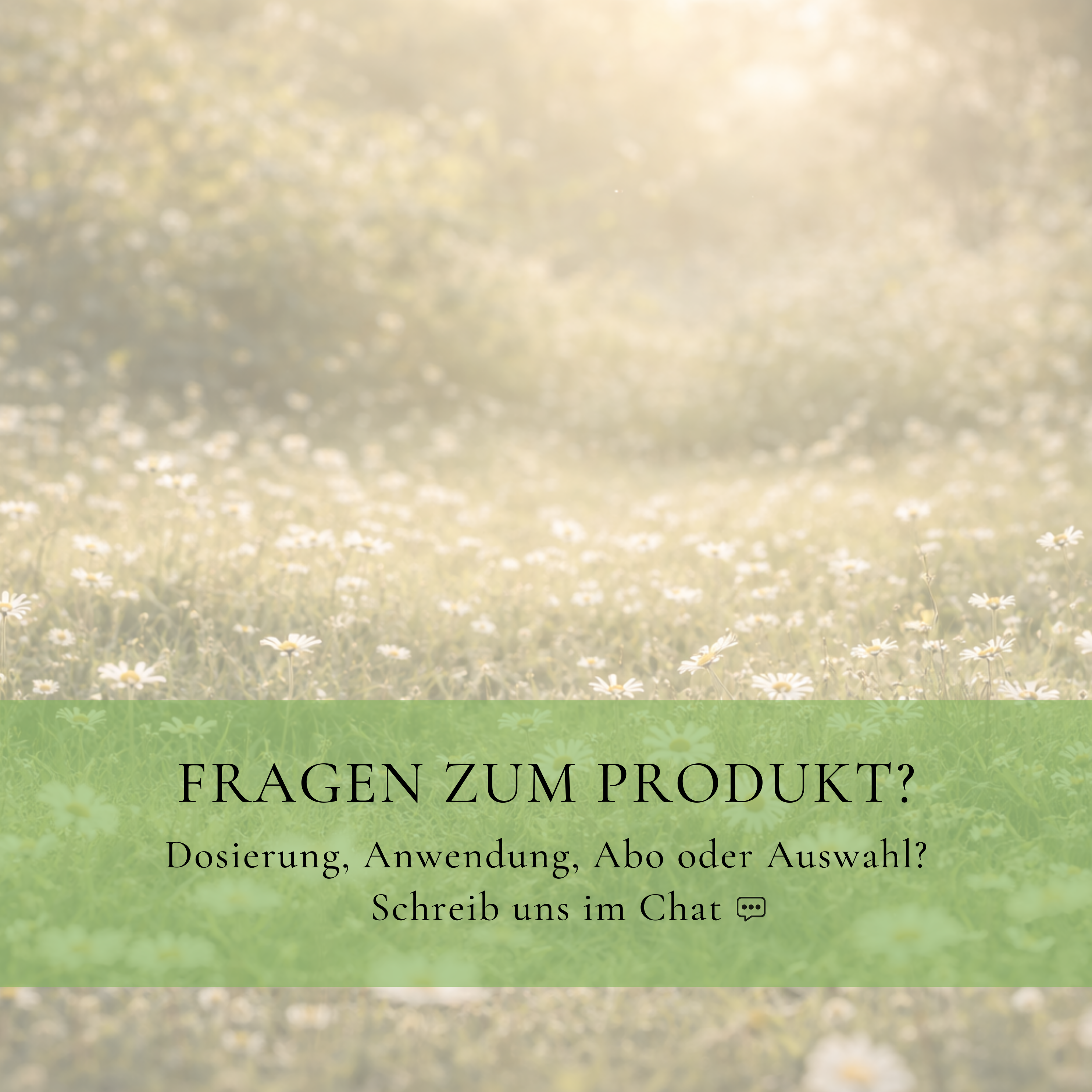 Vitalsteps KollagenVital Sensitiv Infobild mit Hinweis auf Beratung zu Dosierung, Anwendung, Abo und Produktauswahl im Chat