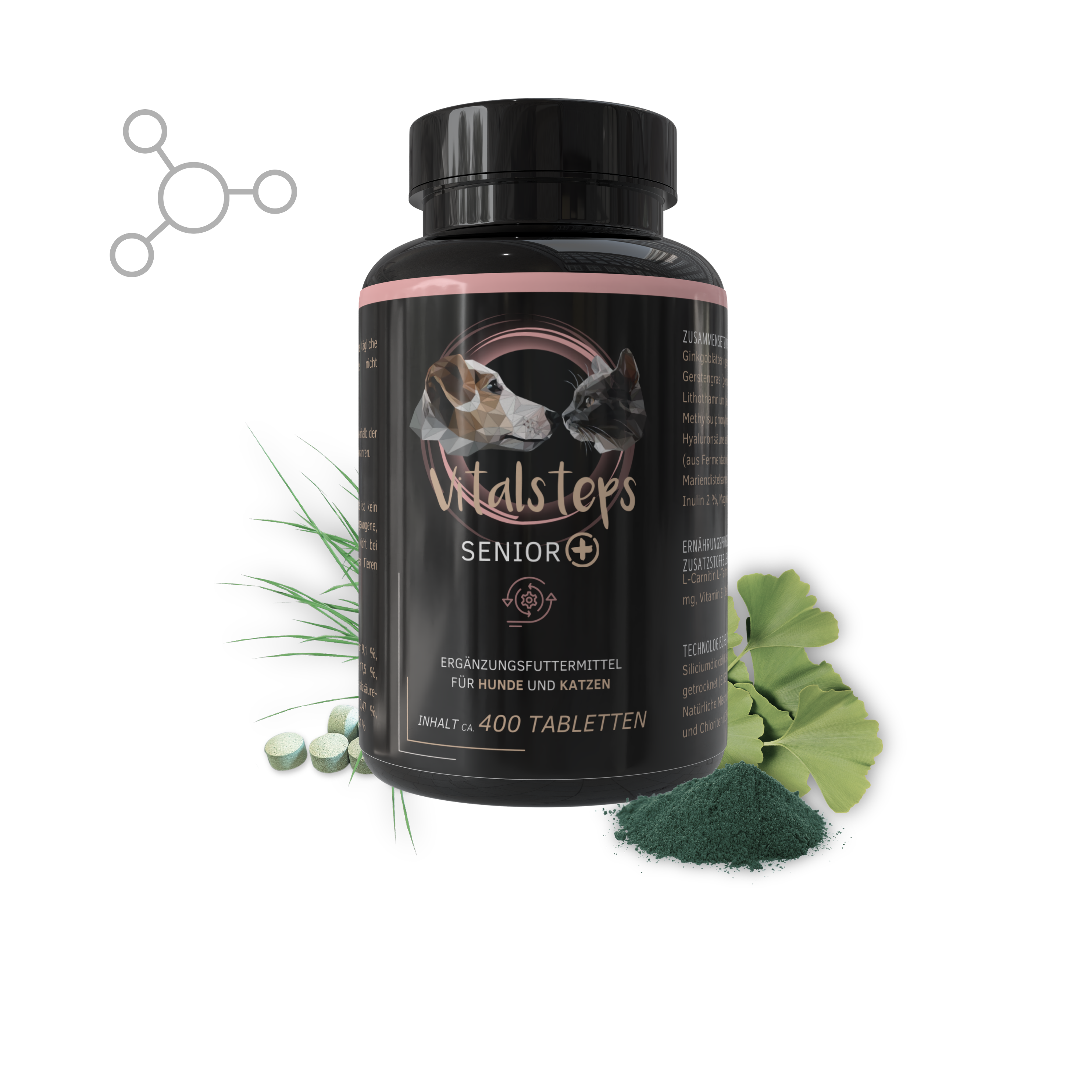 Vitalsteps Senior+ Dose für Hunde und Katzen mit Tabletten, Ginkgoblatt, Pflanzenpulver und grafischem Molekül-Symbol