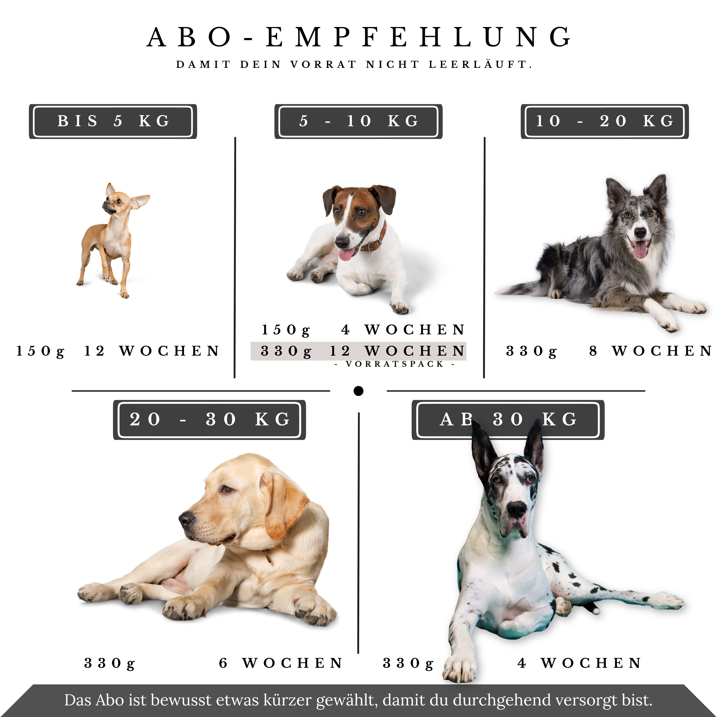 Vitalsteps Senior+ Abo-Empfehlung mit Dosengrößen und Intervallen nach Hundegewicht