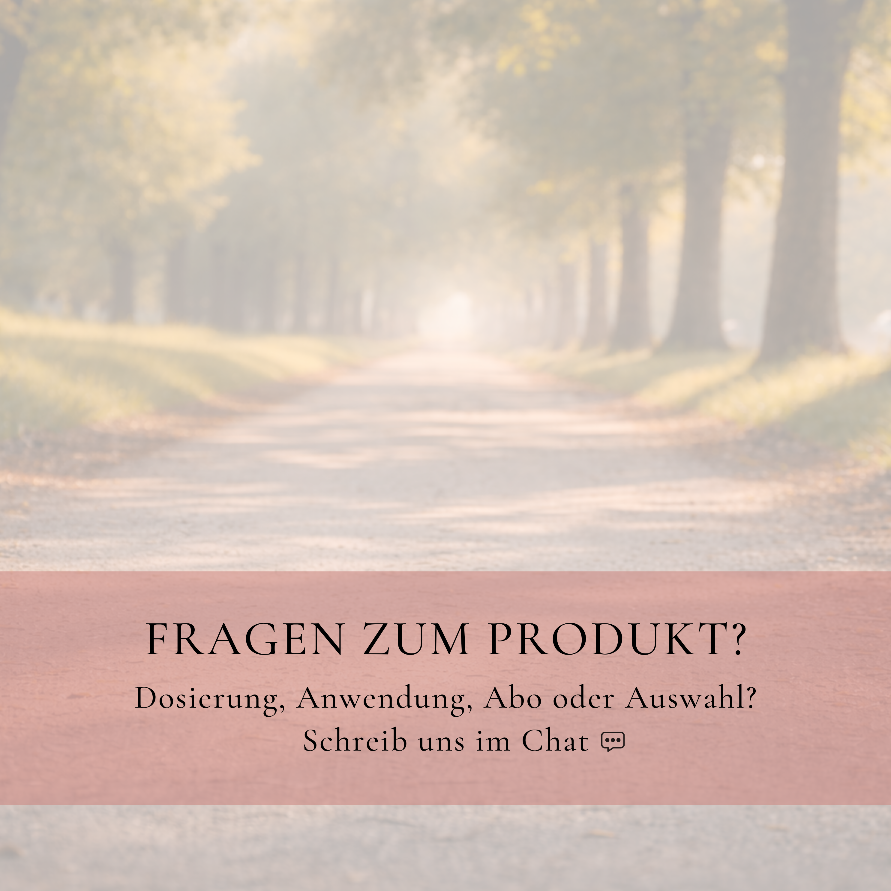 Vitalsteps Senior+ Infobild mit Hinweis auf Beratung zu Dosierung, Anwendung, Abo und Produktauswahl im Chat