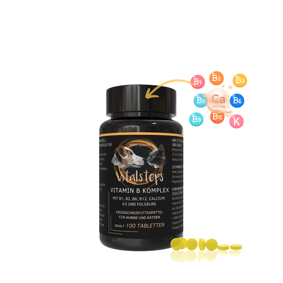 Vitamin B Komplex