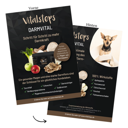 Produkt- Flyer A5