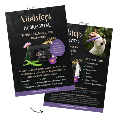 Produkt- Flyer A5